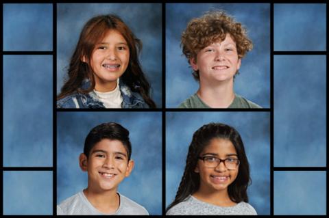 Article Image Alt Text