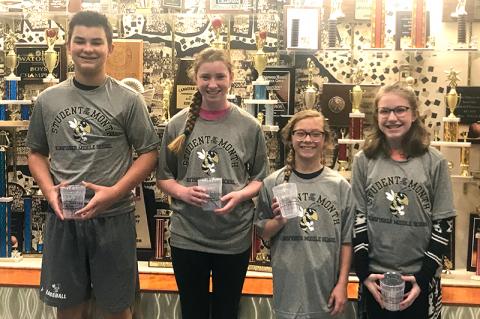 Article Image Alt Text