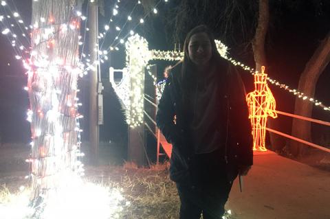 Article Image Alt Text