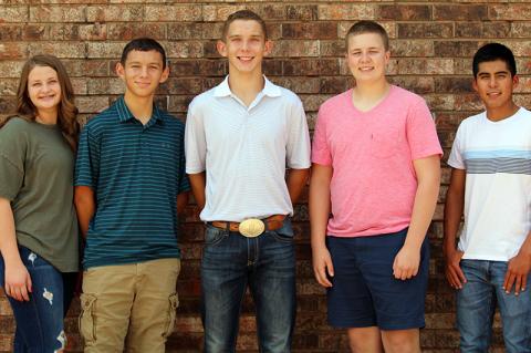 Article Image Alt Text