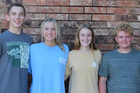 Article Image Alt Text