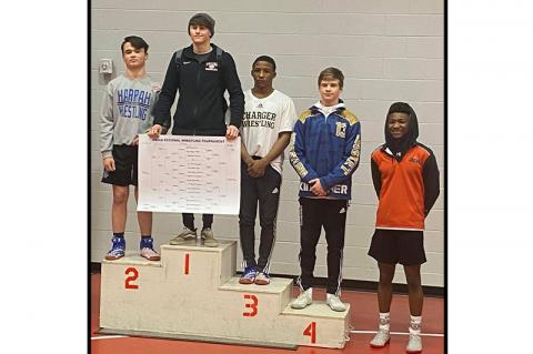 Article Image Alt Text