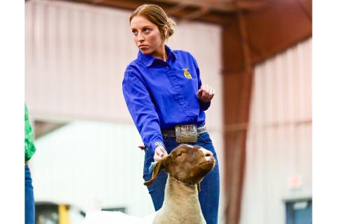 Article Image Alt Text