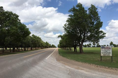 Article Image Alt Text