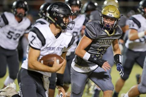 Article Image Alt Text