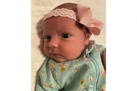 Article Image Alt Text