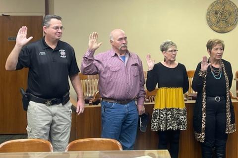 Article Image Alt Text