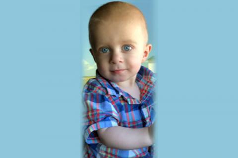 Article Image Alt Text