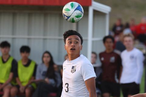 Article Image Alt Text