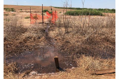 Article Image Alt Text