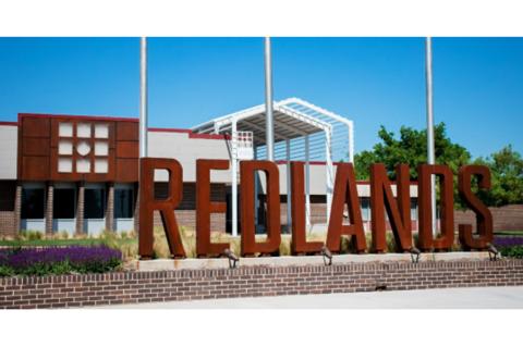 Article Image Alt Text