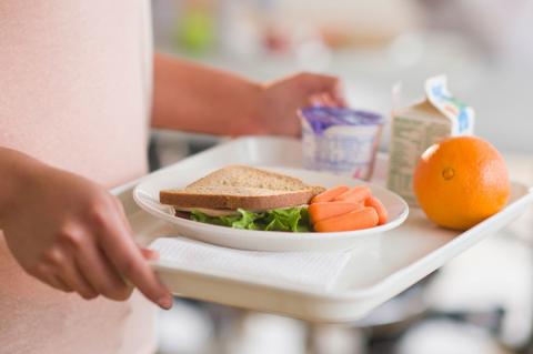 Article Image Alt Text