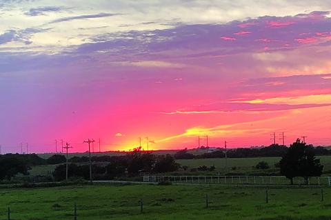 Article Image Alt Text